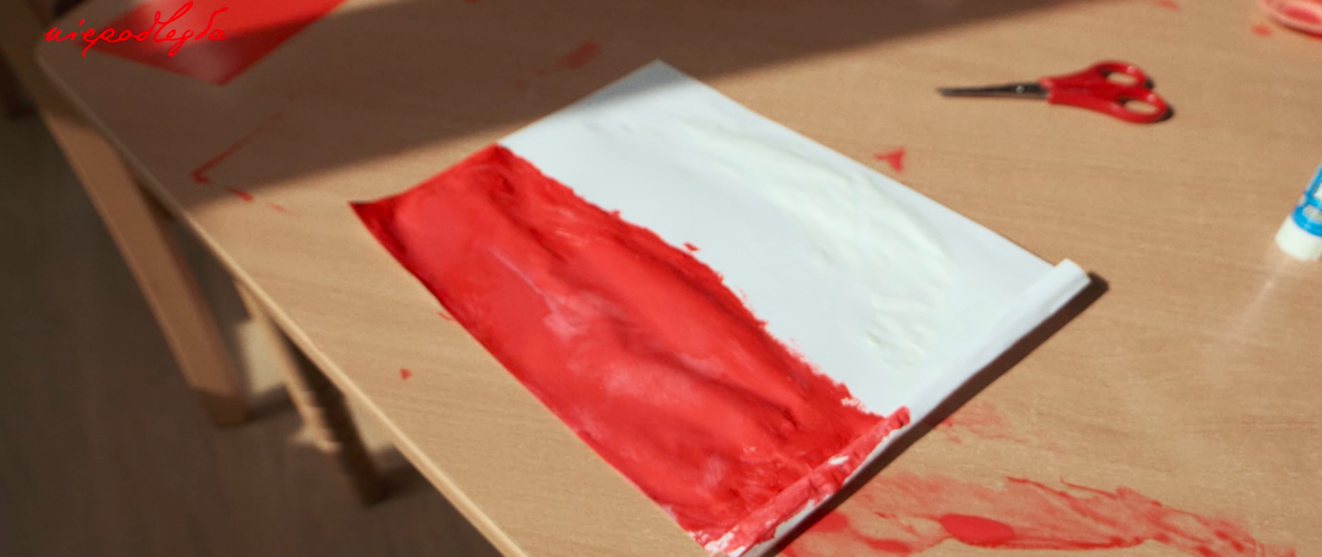 na zdjęciu flaga polski 