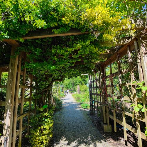 Bolestraszyce - Arboretum 