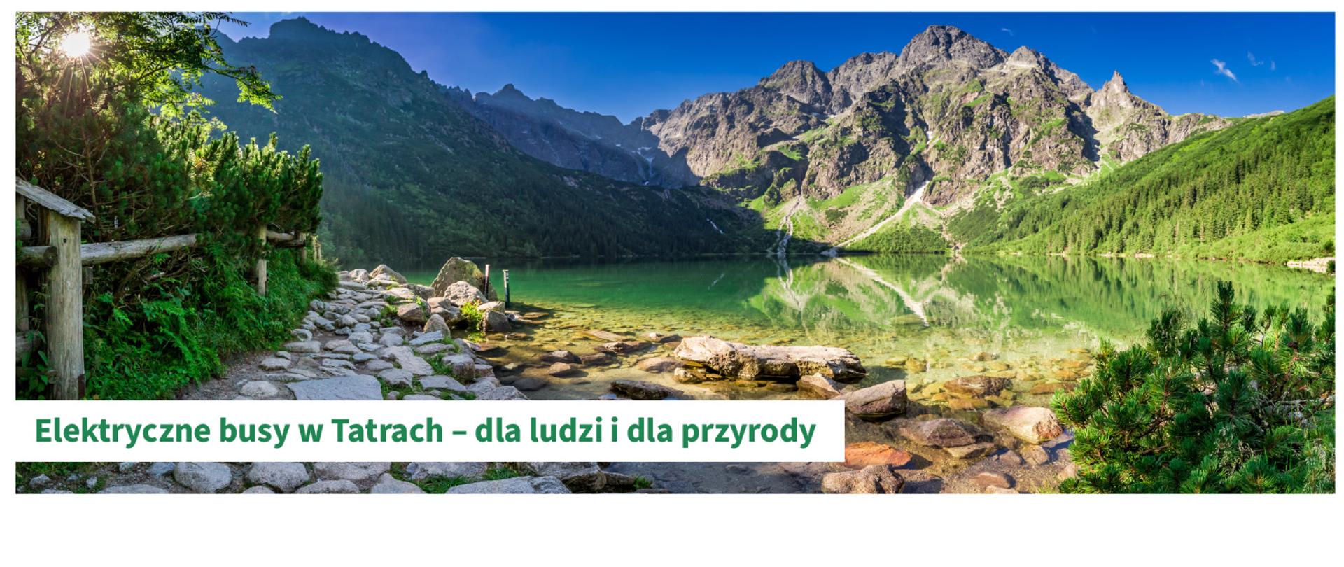 Grafika ilustracyjna. Krajobraz górski. Elektryczne busy w Tatrach dla ludzi i przyrody