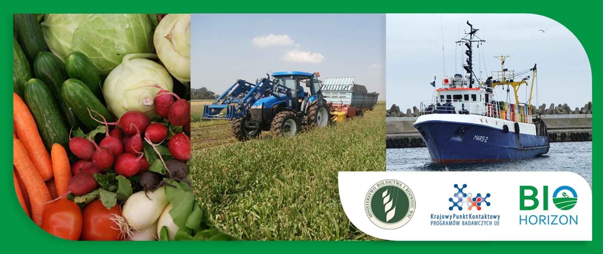 Grafika - owoce i warzywa, traktor, statek