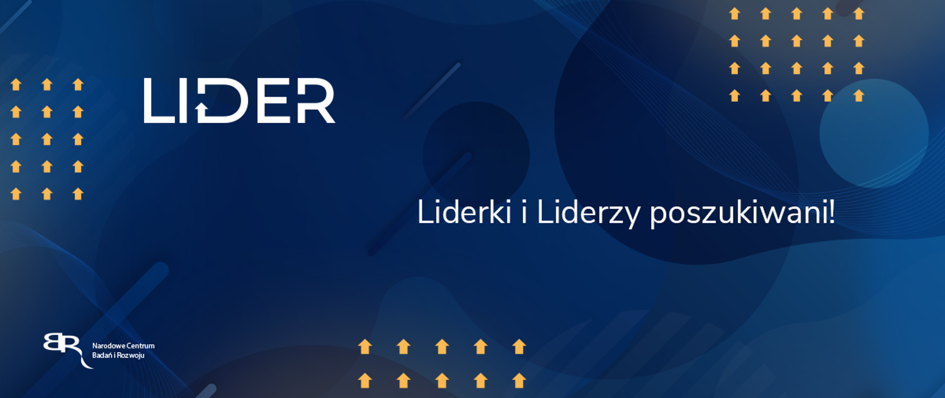 LIDER Liderki i Liderzy poszukiwani!