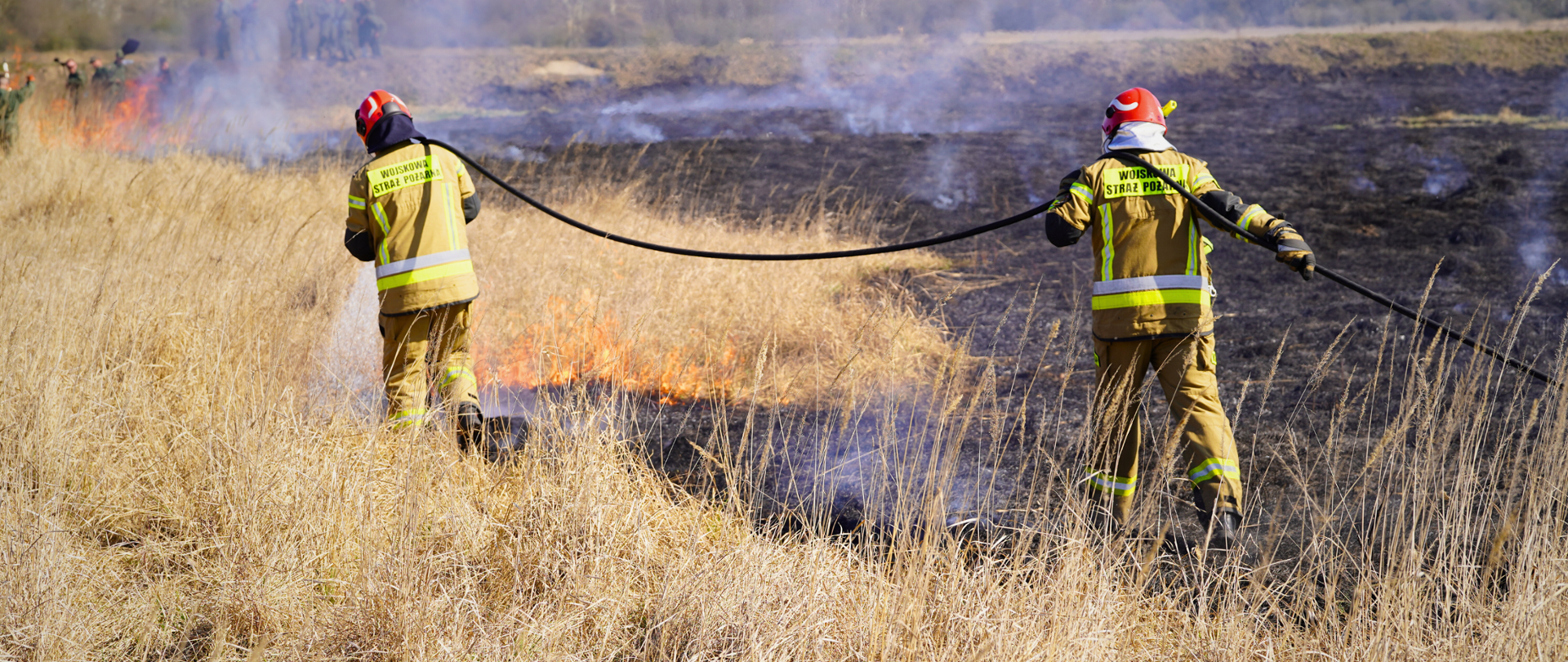 Strażacy oraz żołnierze walczą z pożarem trawy na poligonie