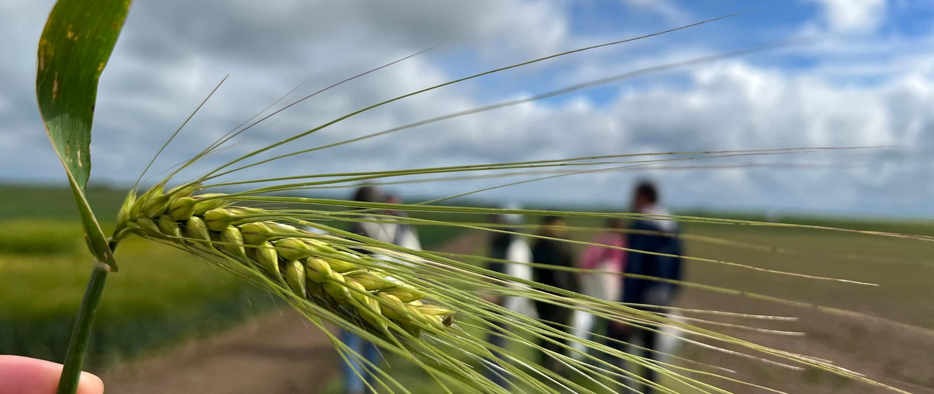 Zdjęcie przedstawia pracowników WIORiN w Opolu uczestniczących w warsztatach polowych