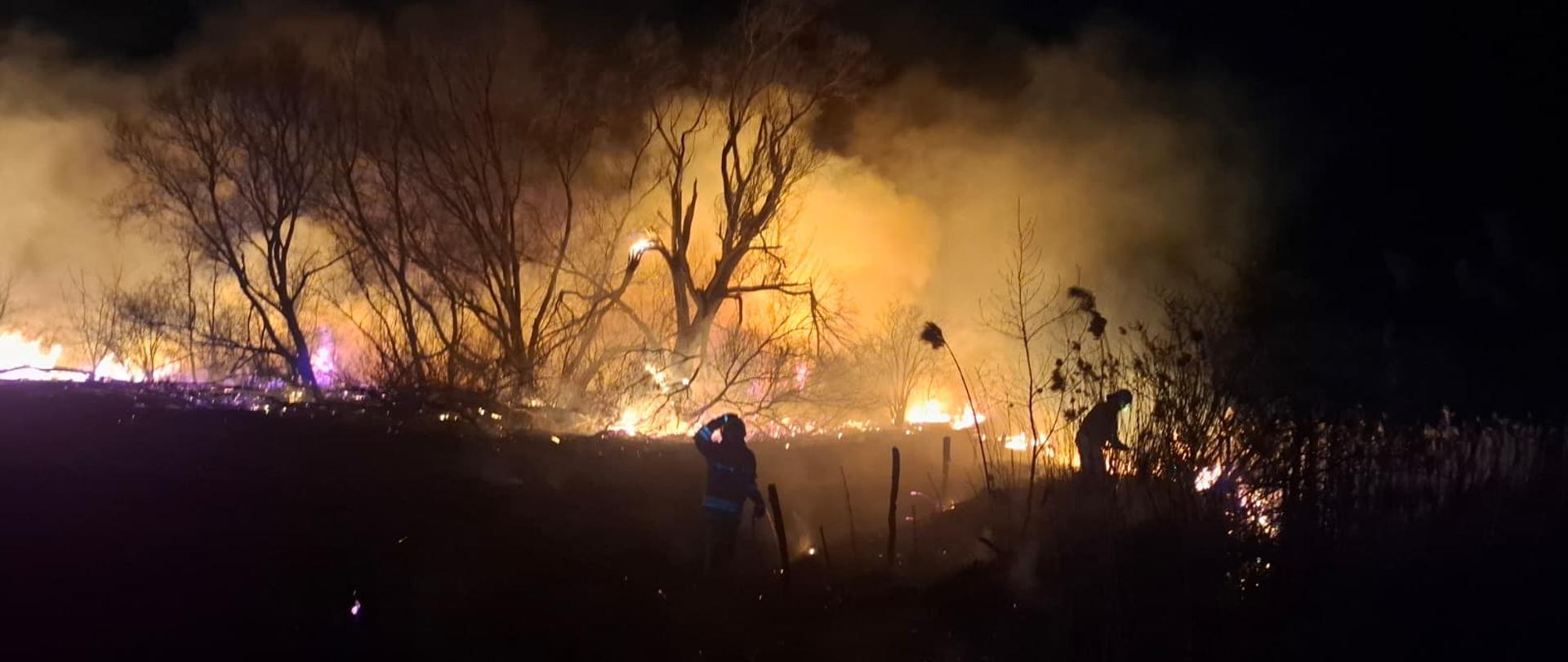 Pożary traw w powiecie buskim.