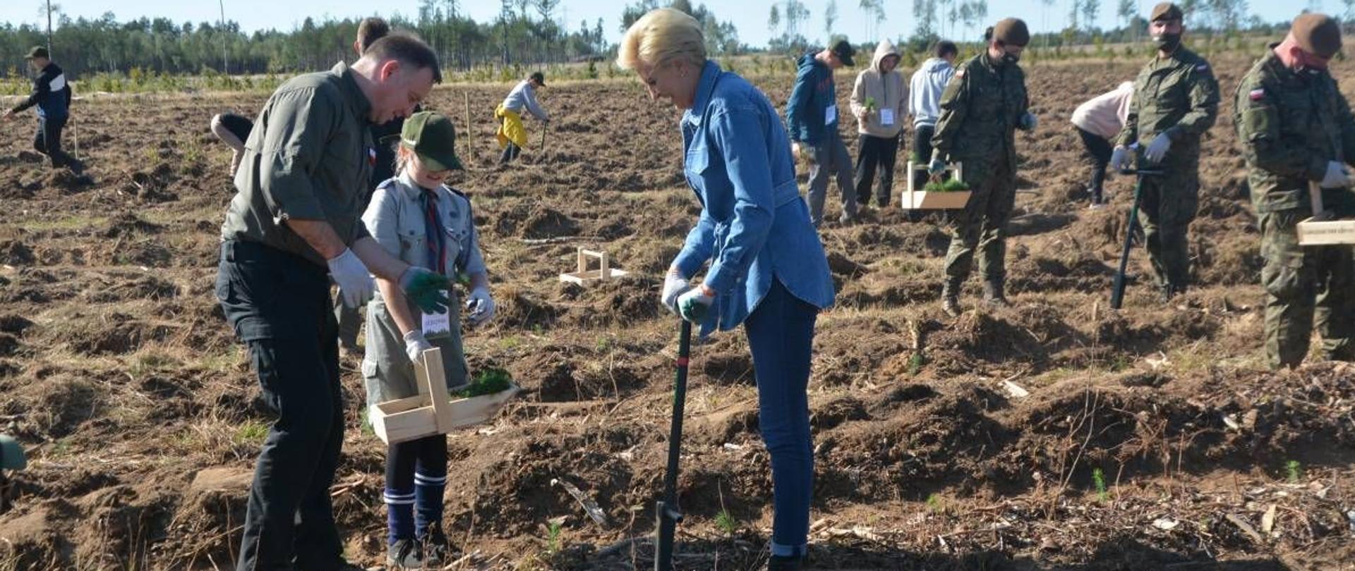 Para Prezydencka podczas sadzenia drzewek w nadleśnictwie Lipusz