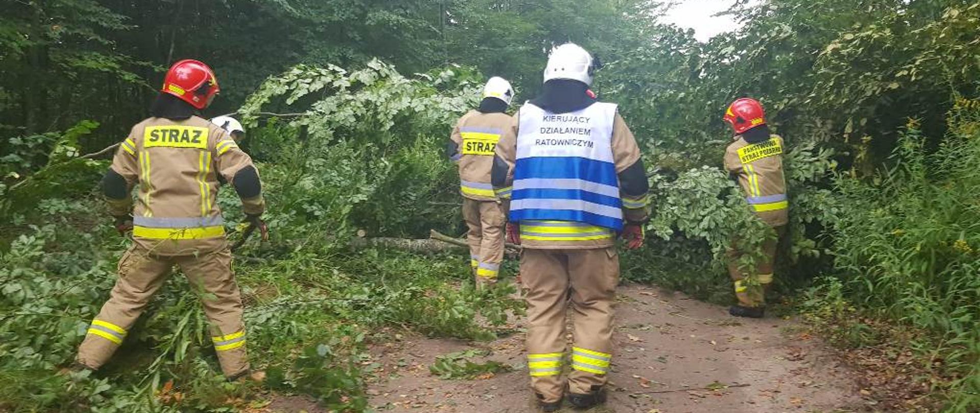 Strażacy usuwają powalone drzewo
