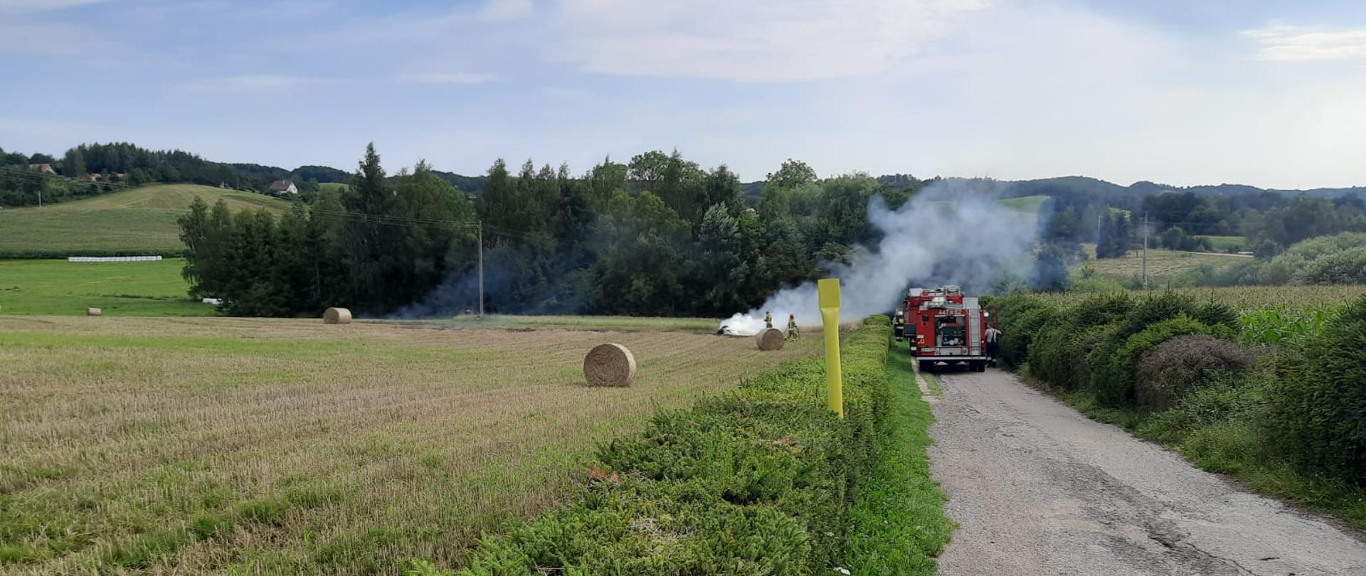 Kłęby dymu unoszące się nad płonącym rżyskiem. W pobliżu na drodze stoją wozy strażackie.