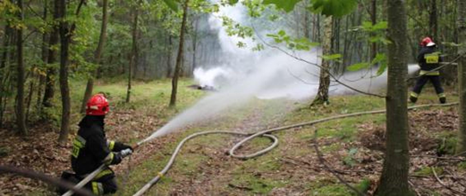 Zdjęcie przedstawia strażaków podających prądy wody na palący się las