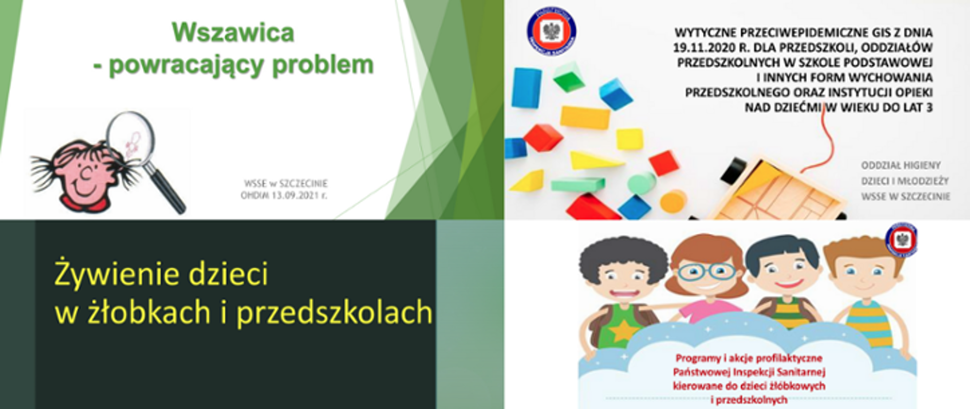 Pole grafiki podzielone jest na 4 części. Na każdej znajduje się zrzut prezentacji, wyświetlonej podczas wideokonferencji. 