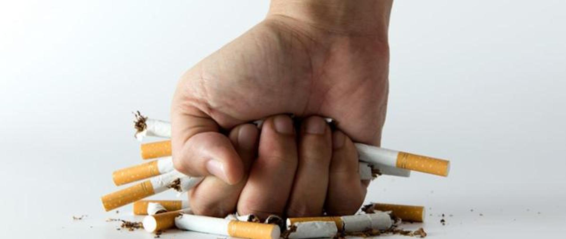 Zdjęcie przedstawiające rękę która niszczy papierosy