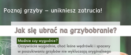 Grzyby