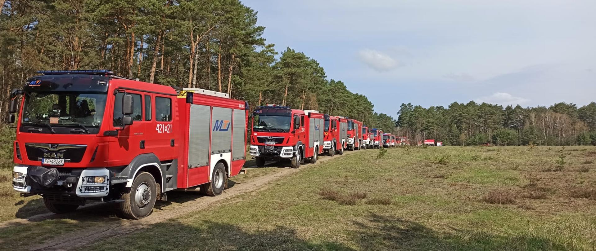 Warsztaty ratownicze grup specjalistycznych – dzień III - kolumna pojazdów pożarniczych wjeżdza do lasu