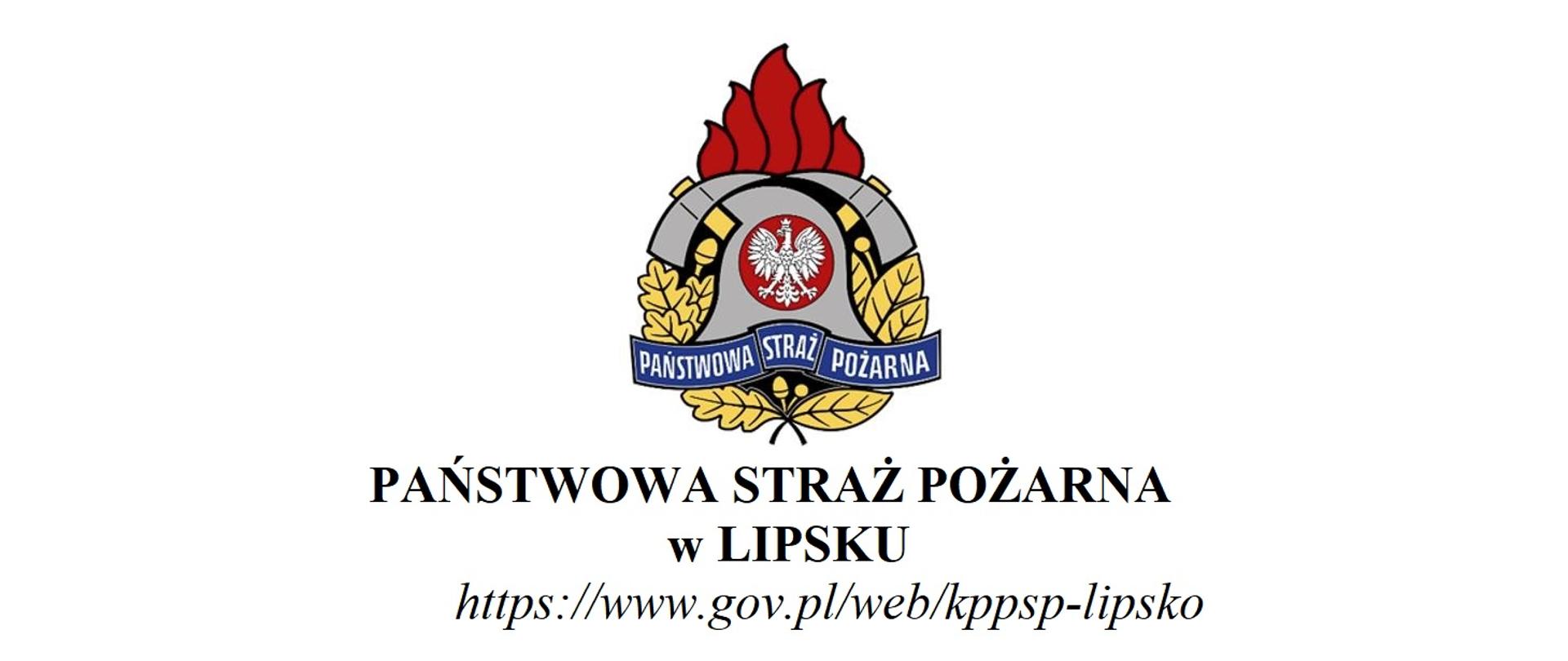Logo KP PSP Lipsko2