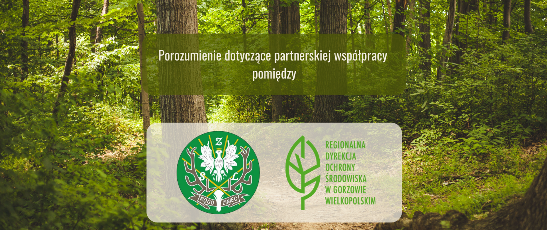 Logotypy Regionalnej Dyrekcji Ochrony Środowiska w Gorzowie Wielkopolskim (zielony liść) i Technikum Leśnego w Rogozińcu. Powyżej napis: Porozumienie dotyczące partnerskiej współpracy
pomiędzy. W tle las.