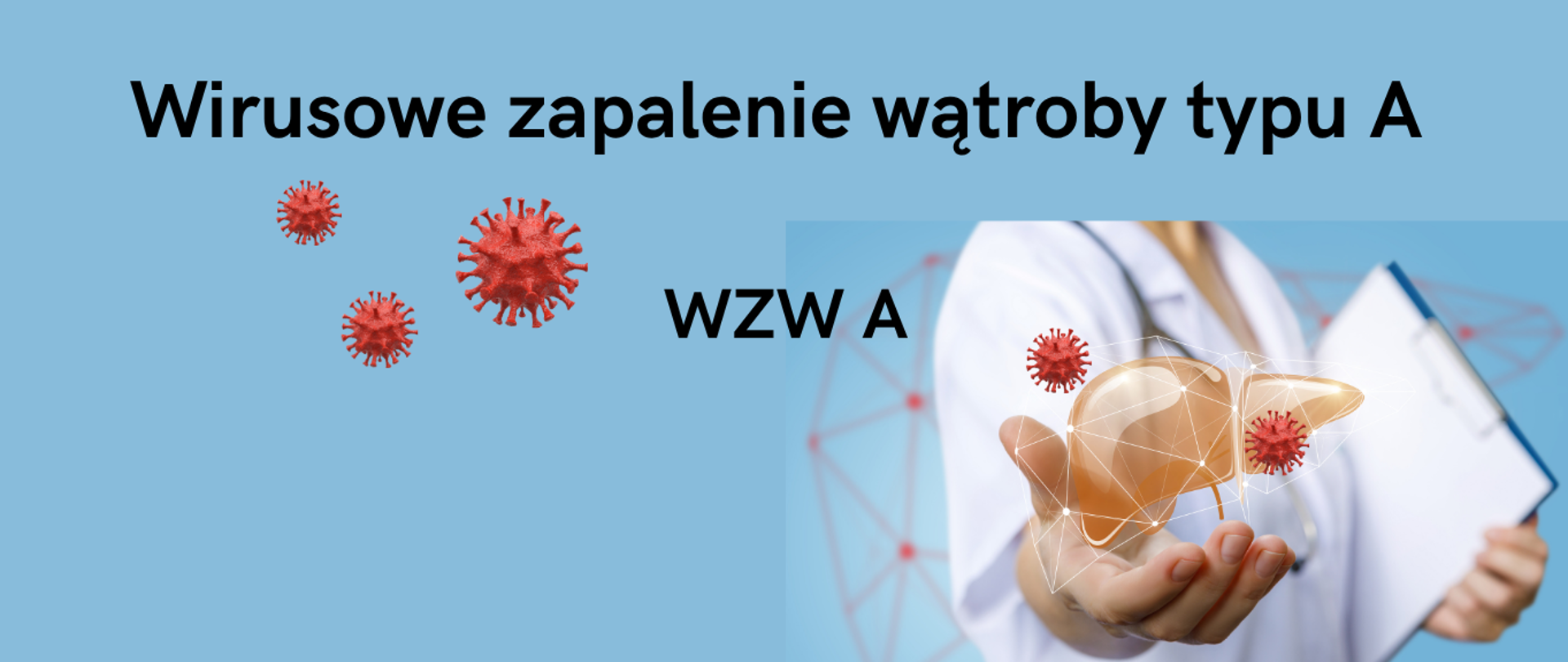 Wirusowe zapalenie wątroby typu A, WZW A, grafiki trzech wirusów, po prawej stronie zdjęcie które przedstawia lekarza, w ręku trzyma wirtualną wątrobę, wokół której krążą wirusy.