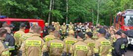 strażacy w trakcie zbiórki przed ćwiczeniami, w tle las i pojazdy