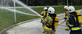 Na zdjęciu strażacy 