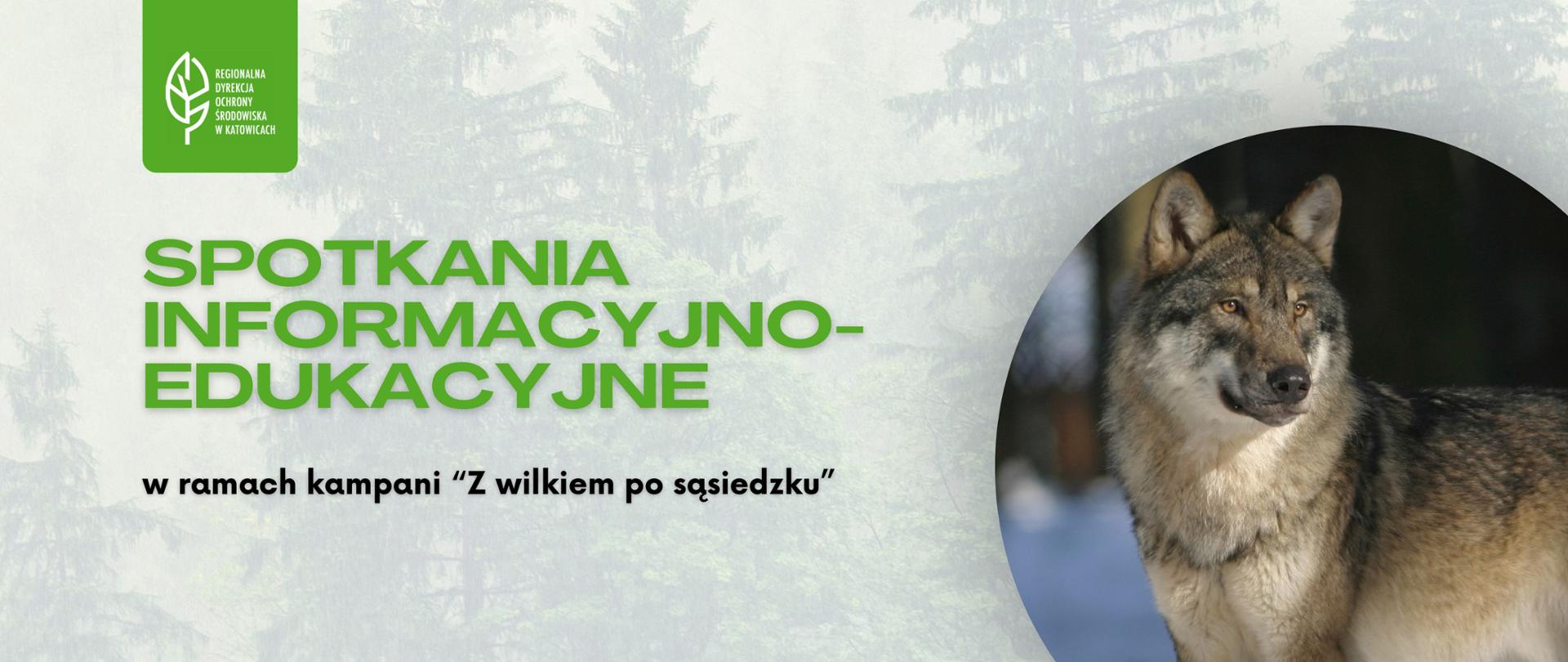 Grafika promująca potkania informacyjno-edukacyjne w ramach kampanii "Z wilkiem po sąsiedzku"