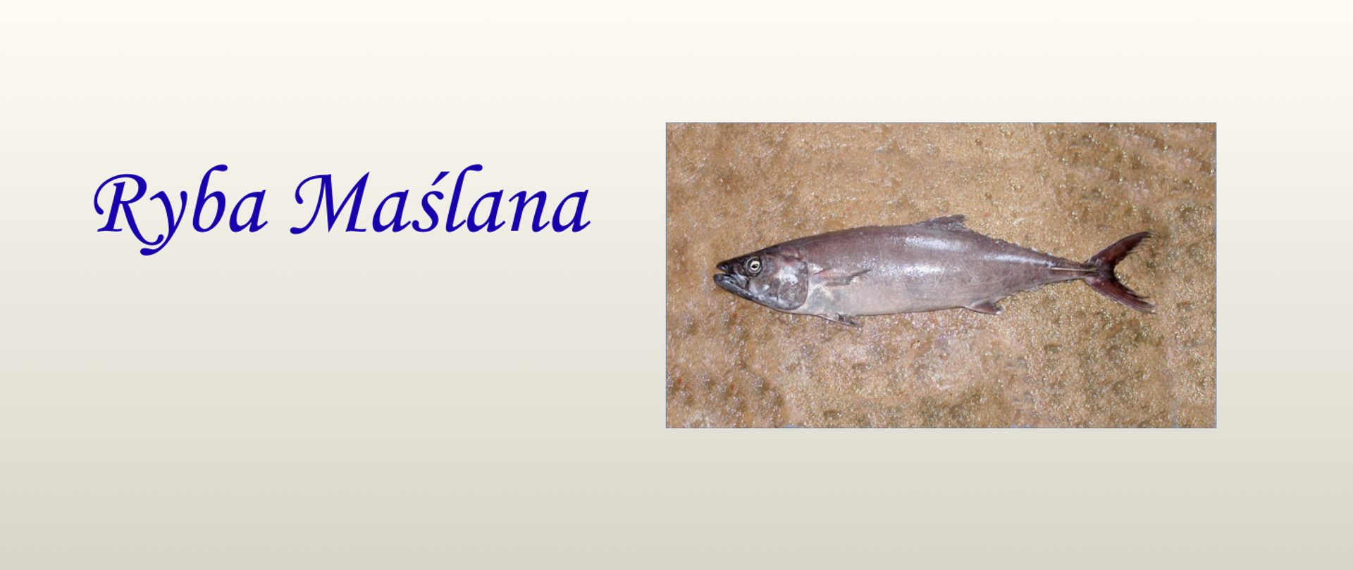 Ryba maślana 