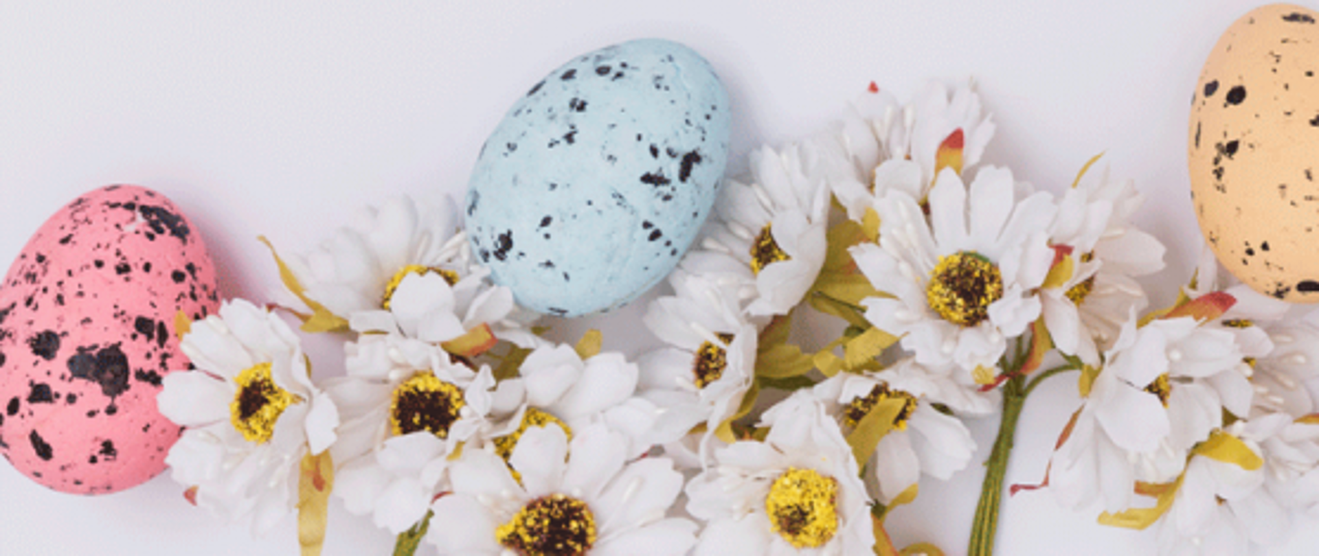 Na białym tle tekst w pastelowych kolorach: Zdrowych, pogodnych Świąt Wielkanocnych, pełnych wiary, nadziei i miłości. Radosnego, wiosennego nastroju, serdecznych spotkań w gronie rodziny i wśród przyjaciół oraz wesołego Alleluja! życzy: Dyrektor oraz cała społeczność Państwowej Szkoły Muzycznej I stopnia im. Janiny Garści w Tczewie. Na dole wstawiona fotografia kolorowych pisanek i kwiatków rumianku.