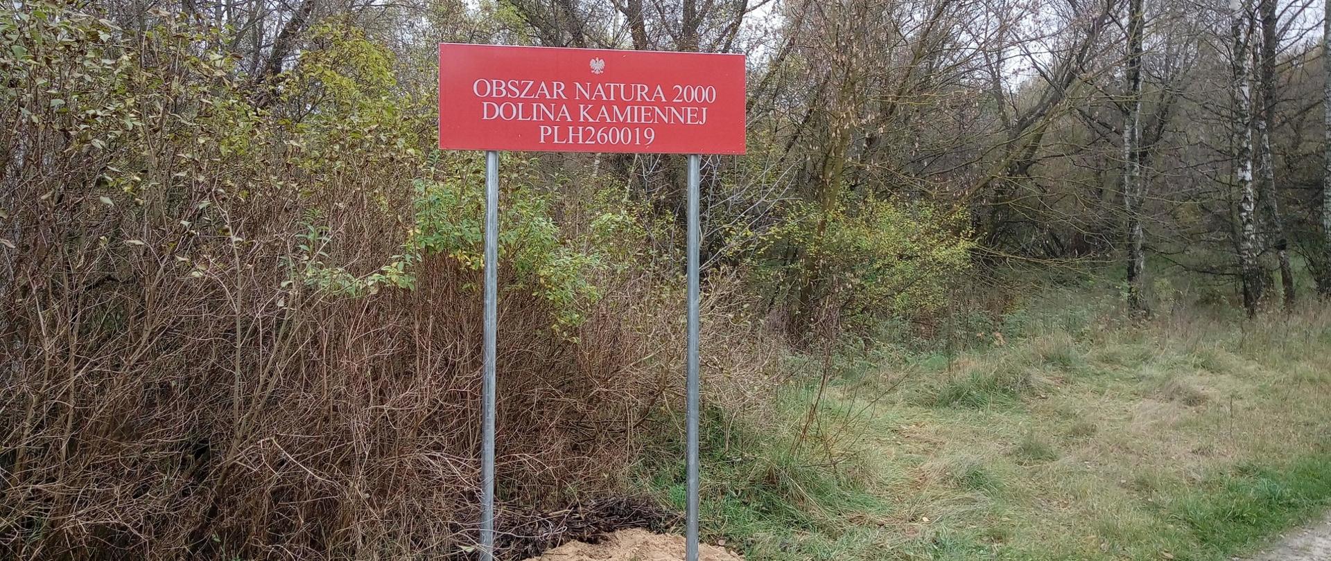 Tablica Obszar Natura 2000 Dolina Kamiennej na tle roślinności. 