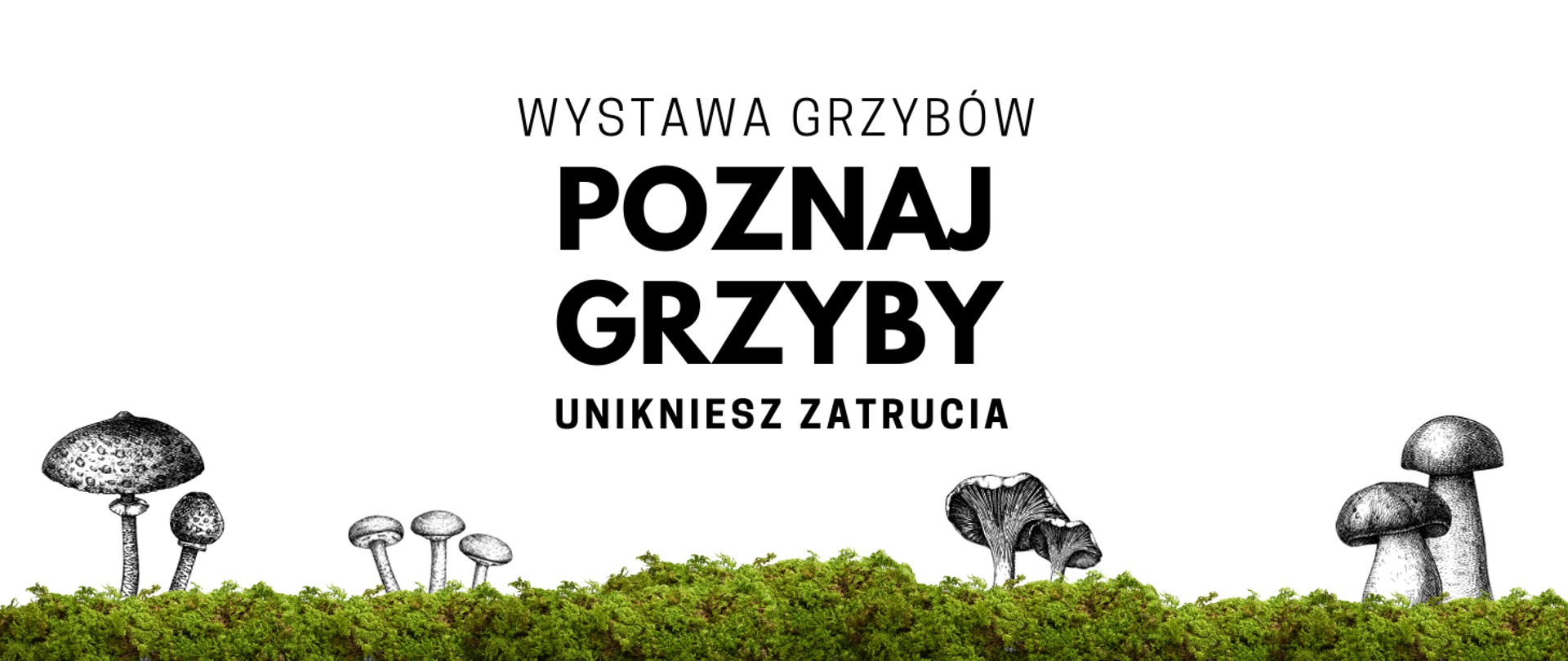 Na białym tle napis "Wystawa grzybów, poznaj grzyby - unikniesz zatrucia" pasek na dole po całości pokryty mchem na którym znajdują się równomiernie rozłożone szkicowane 4 grupy grzybów.