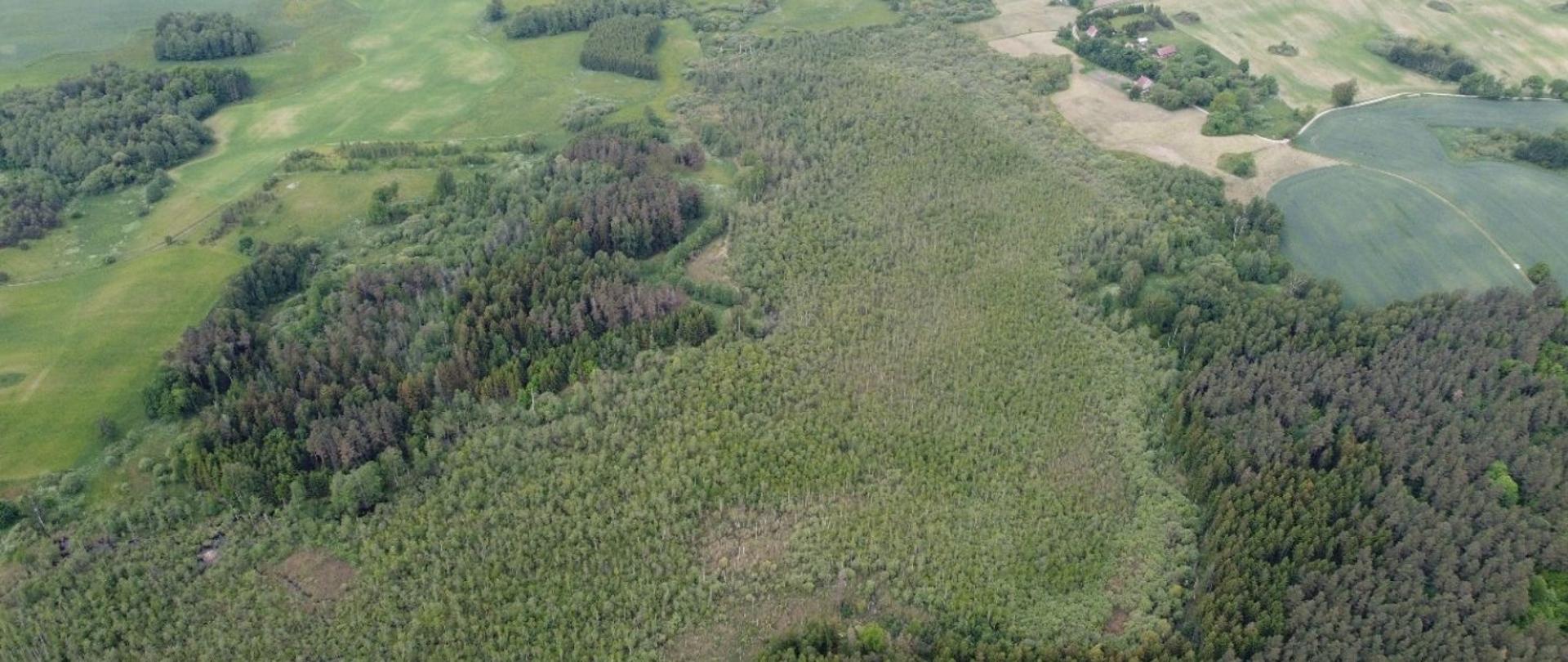 Panorama rezerwatu przyrody Zabrodzie 