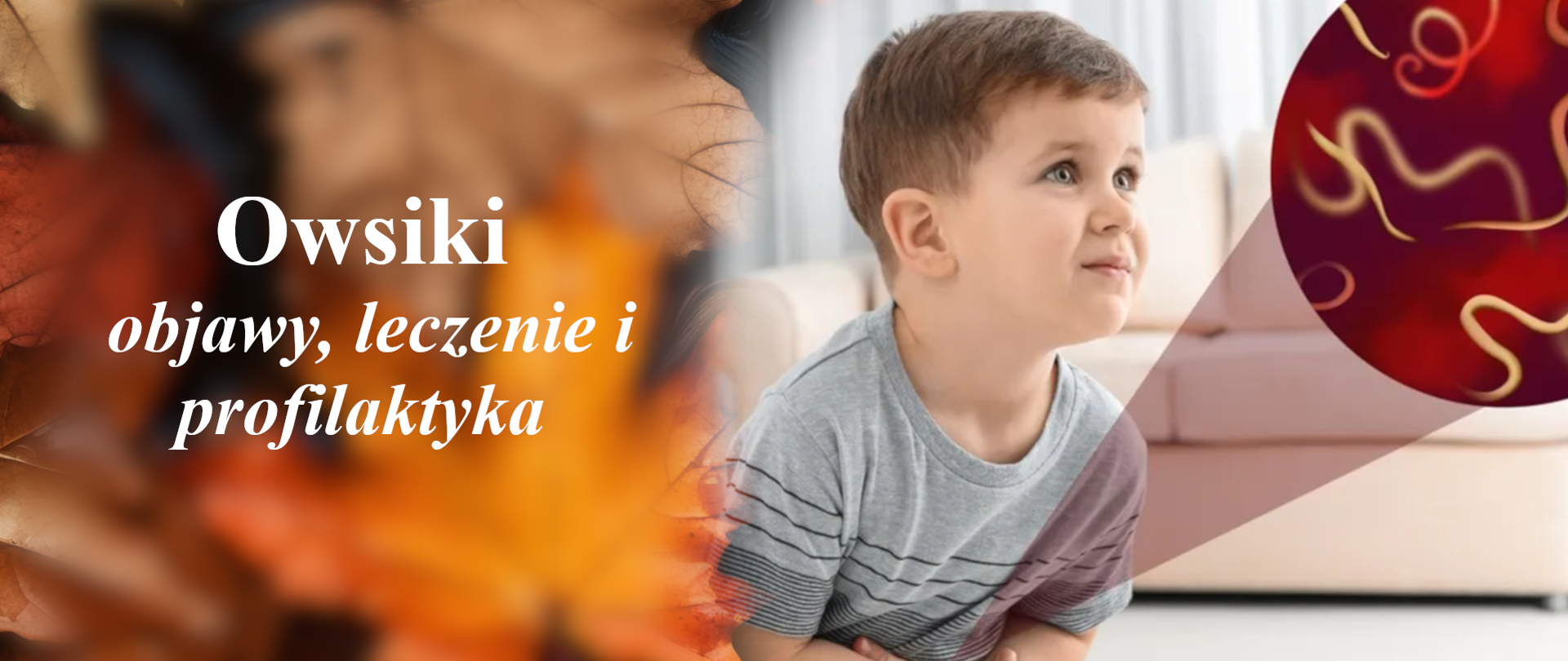 baner - owsiki