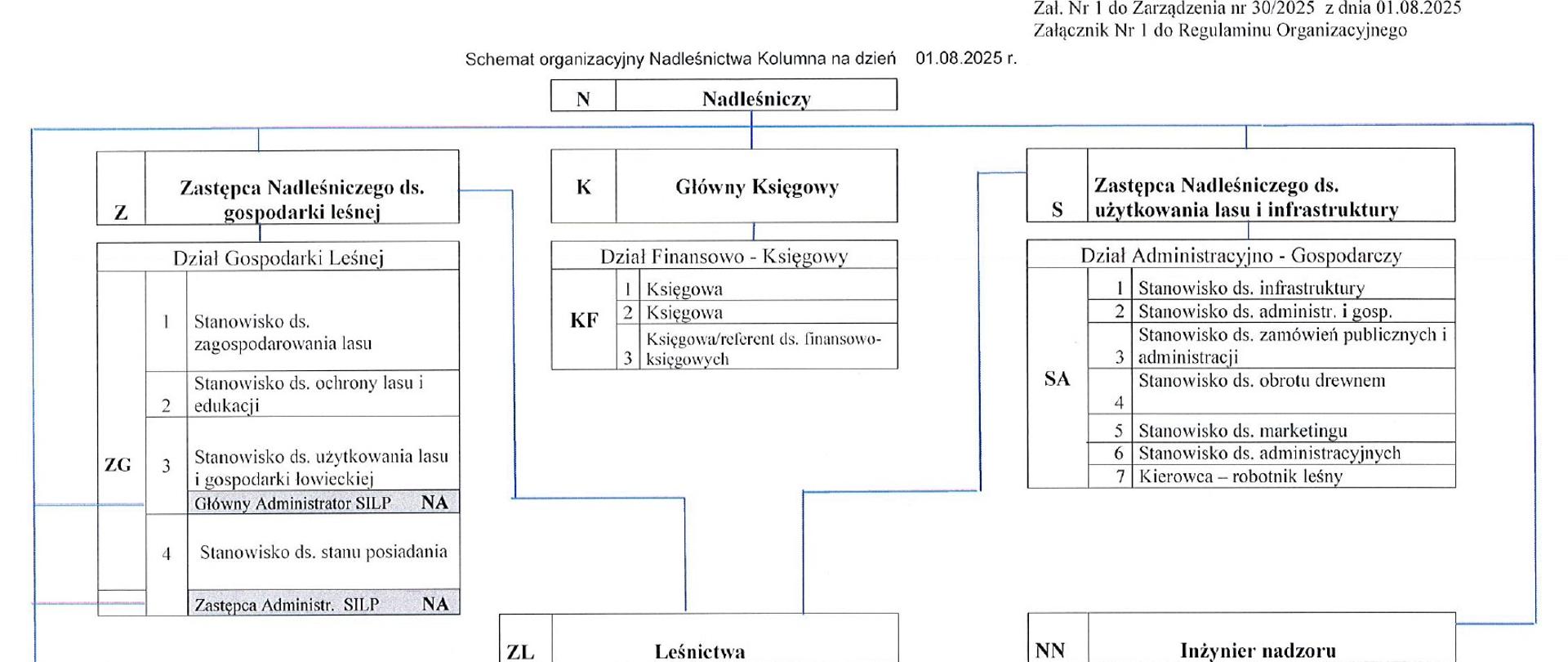 schemat organizacyjny Nadleśnictwa Kolumna
