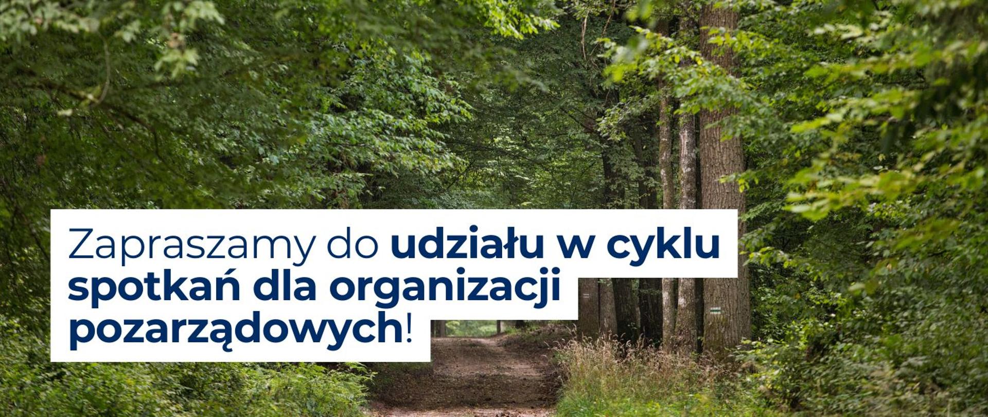Na grafice widnieje zdjęcie lasu oraz ścieżki leśnej. Na tle zdjęcia umieszczony jest napis "Zapraszamy do udziału w cyklu spotkań dla organizacji pozarządowych!".