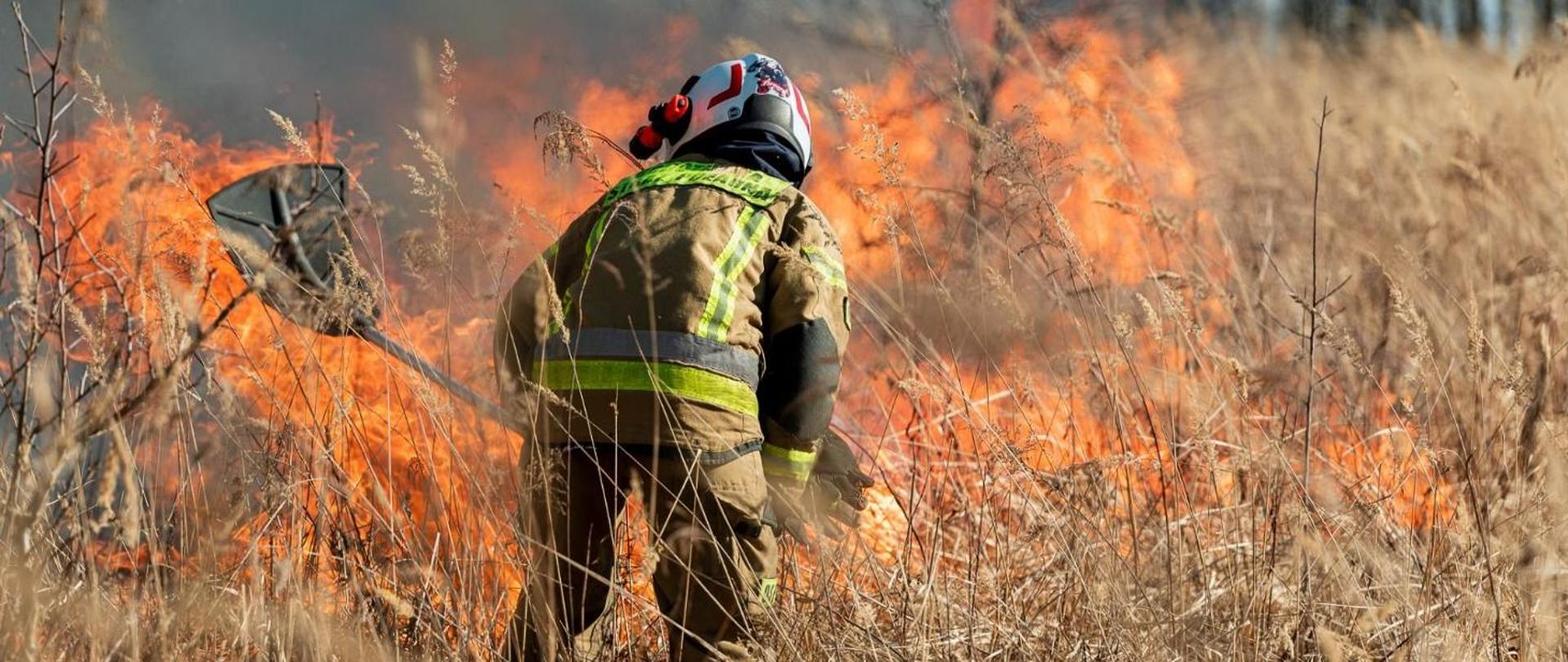 Strażak gaszący tłumicą pożar trawy na nieużytkach. Strażak jest ubrany w ubranie specjalne i biały chełp OSP. 