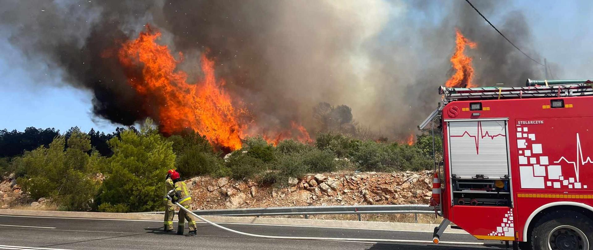 Zdjęcie przedstawia strażaków gaszących pożary lasów w Grecji oraz pojazdy gaśnicze.
W tle las i tereny zielone.
