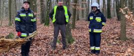 Zdjęcie przedstawia zajęcie z cięcia pilarką mechaniczną w lesie na zdjęciu strażak tnący oraz instruktor nadzorujący.