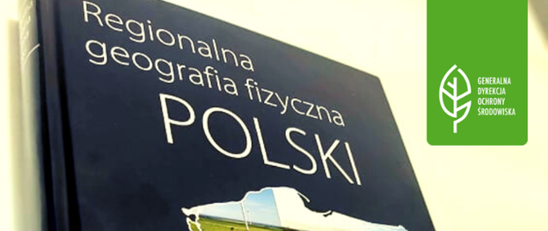 Okładka książki z czarnym tłem. Tytuł - Regionalna geografia fizyczna Polski - biała czcionka. W prawym górnym rogu logotyp Generalnej Dyrekcji Ochrony Środowiska (biały listek na zielonym tle). Pod spodem , w konturach mapy Polski, różne krajobrazy, np. góry, morze.
