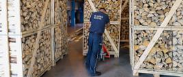 Funkcjonariusz KAS przewozi palety z drewnem opałowym, w którym ukryte są papierosy