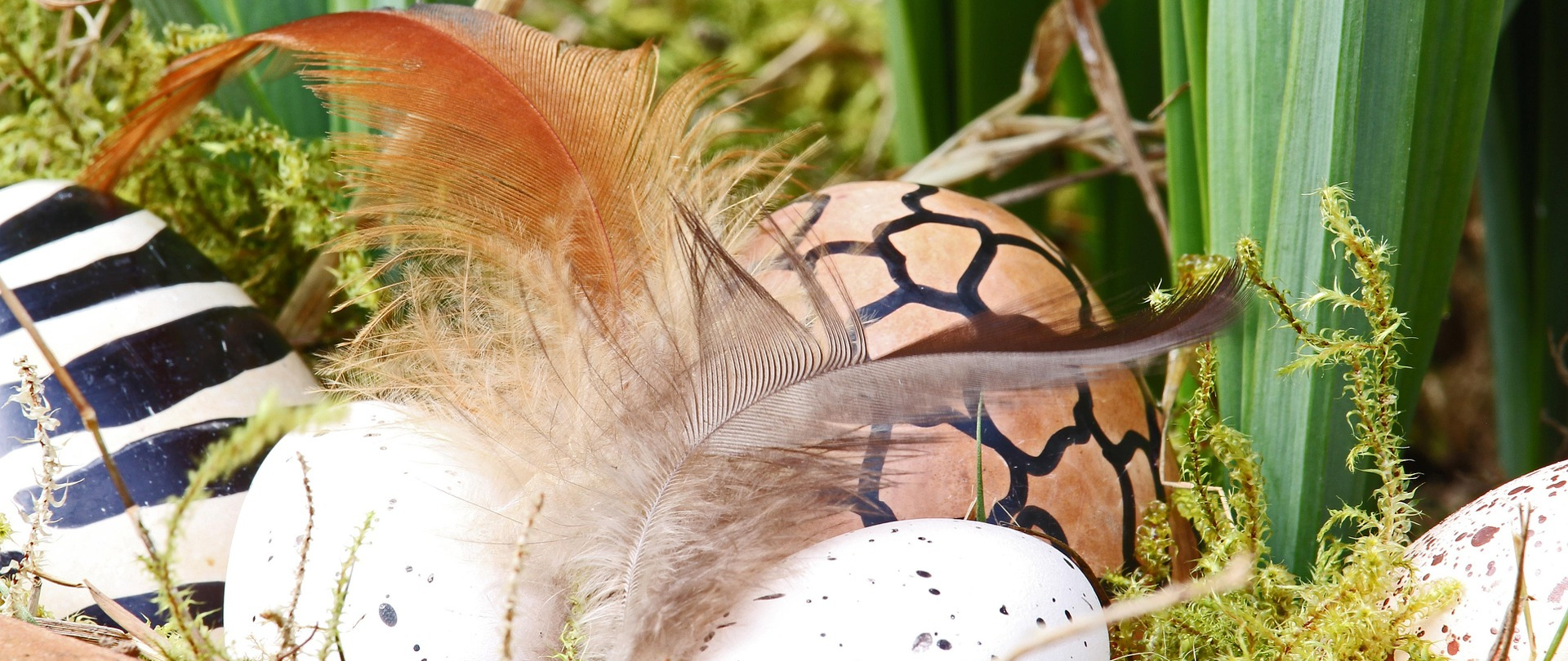 Kolorowa kartka wielkanocna z dominującym motywem jajek