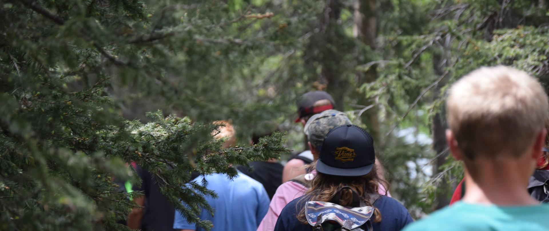 Zdjęcie autorstwa Spencer Gurley Films z Pexels: https://www.pexels.com/pl-pl/zdjecie/osoba-w-czapce-1458600/ wycieczka do lasu