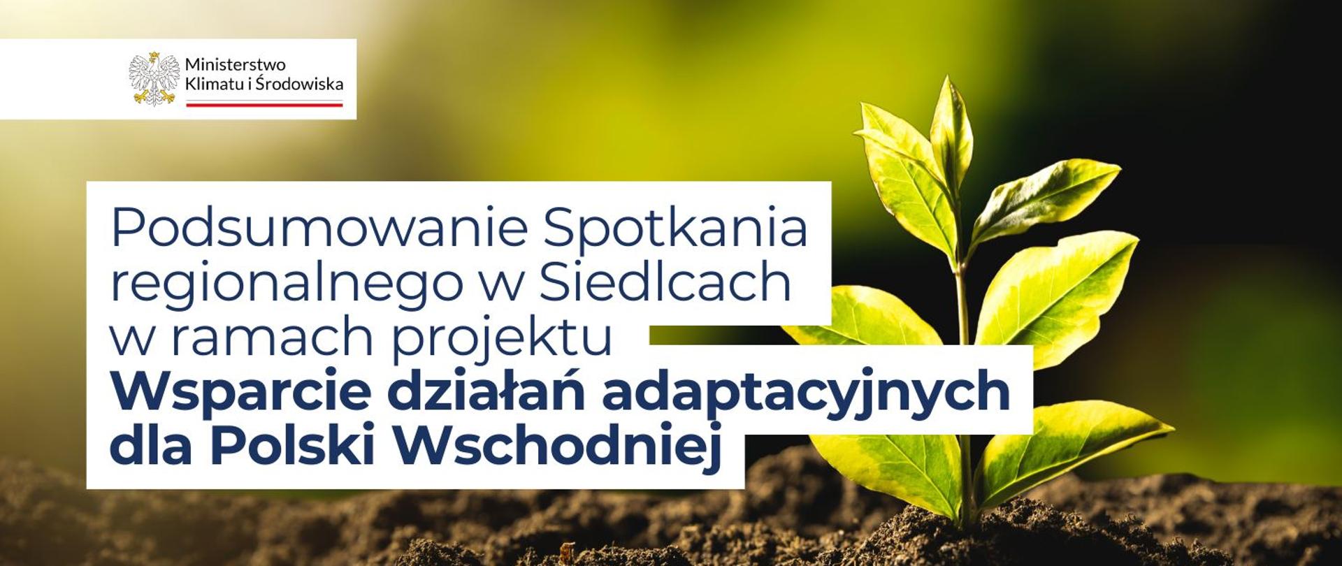 w tle grafiki widoczna jest zielona roślina, która rośnie w ziemi. Na pierwszym planie widoczny jest napis: "Podsumowanie Spotkania regionalnego w Siedlcach w ramach projektu Wsparcie działań adaptacyjnych dla Polski Wschodniej".