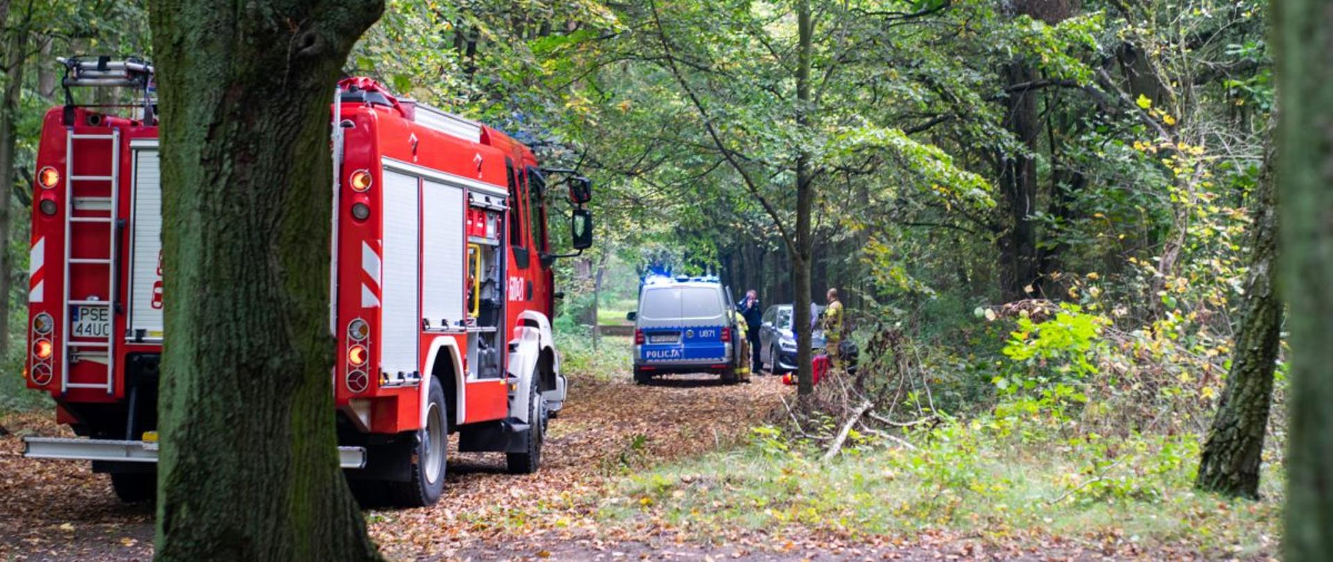 Na zdjęciu w parku samochód ratowniczo - gaśniczy oraz w oddali radiowóz policyjny oraz stojący ludzie 