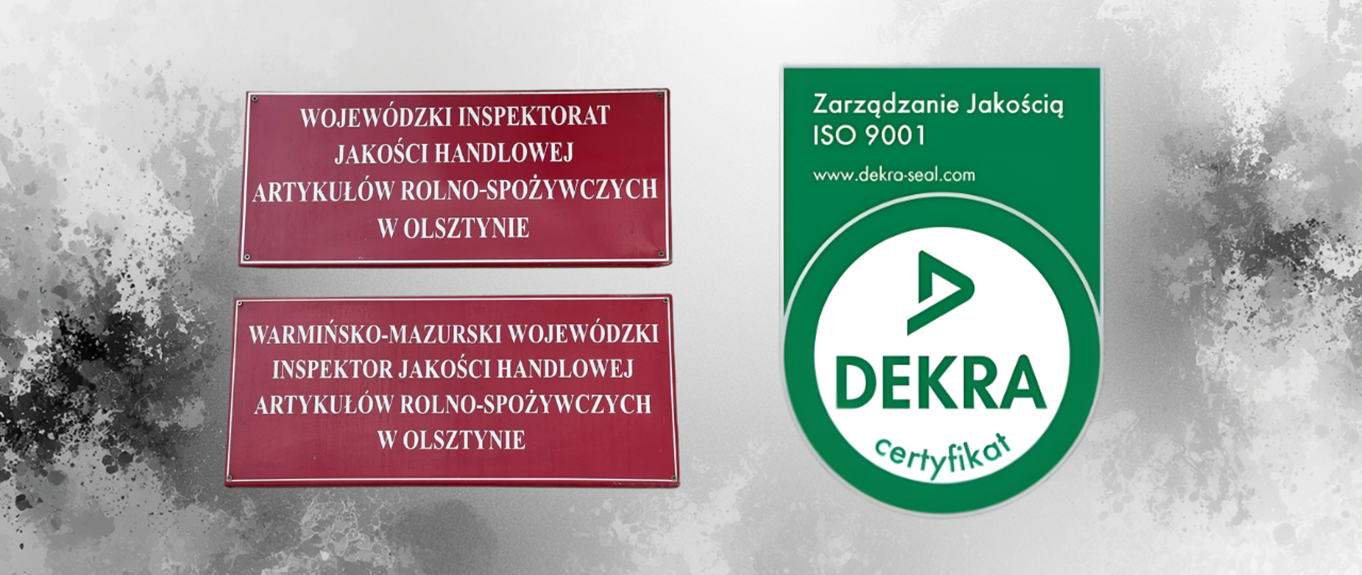 Logo certyfikatu zarządzania jakością Dekra