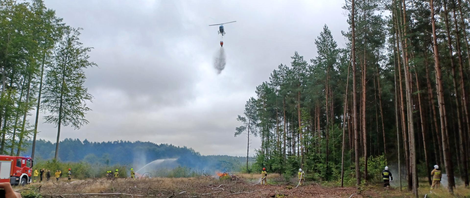 Zdjęcie przedstawia strażaków podających prądy wody na poszycie leśne oraz zrzut wody z śmigłowca.