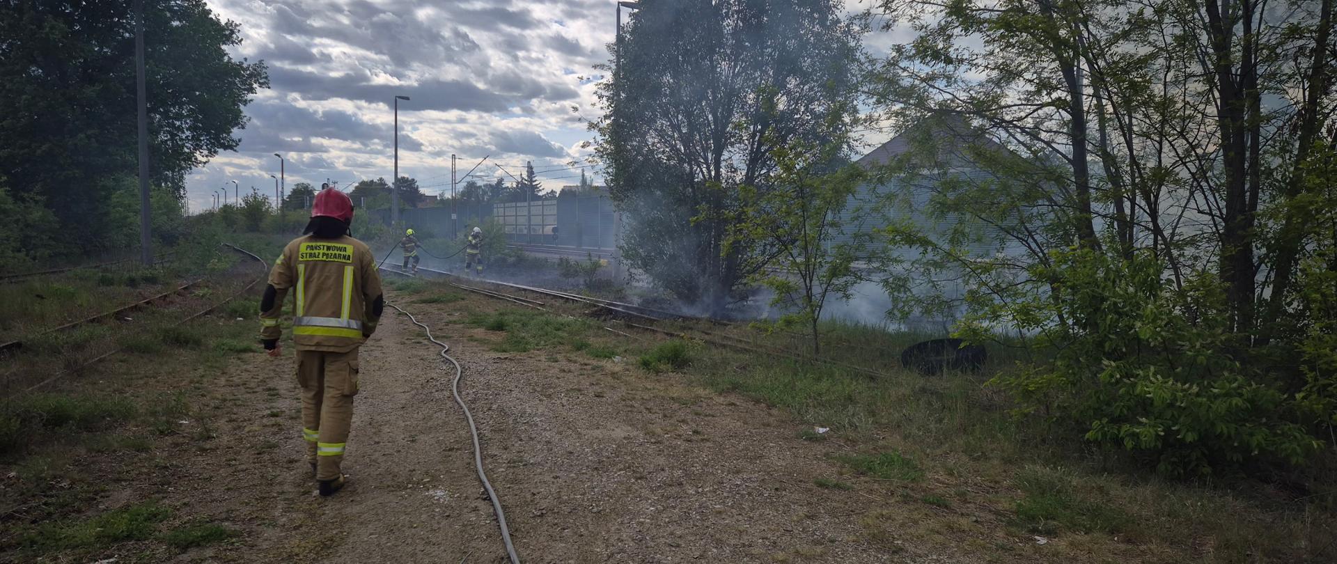 Strażacy gaszą pożar traw