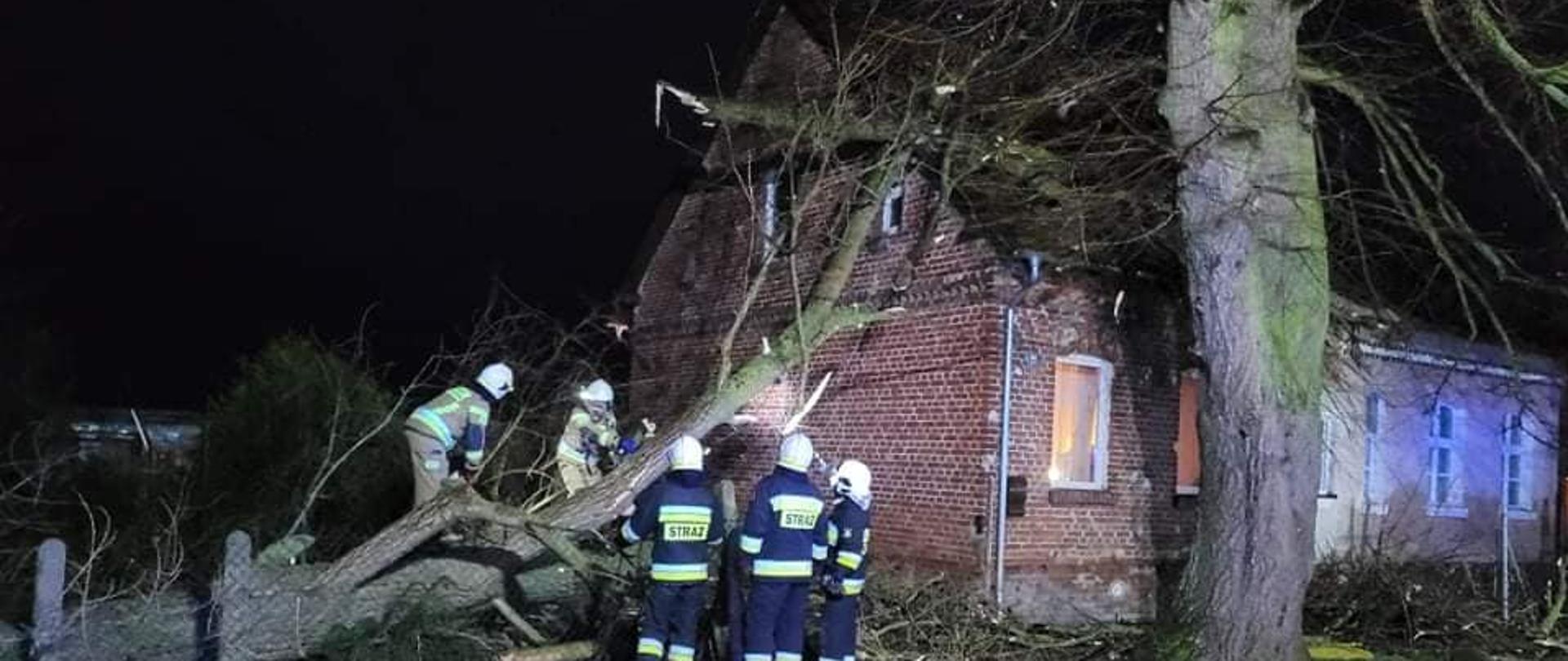 Na zdjęciu widzimy drzewo, które przewróciło się na dach domu oraz grupę strażaków pracujących nad usunięciem zagrożenia.