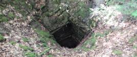 Bliżyn - Kopalnia Ludwik - otwarty szyb górniczy z drewnianą obudową kopalni rudy żelaza