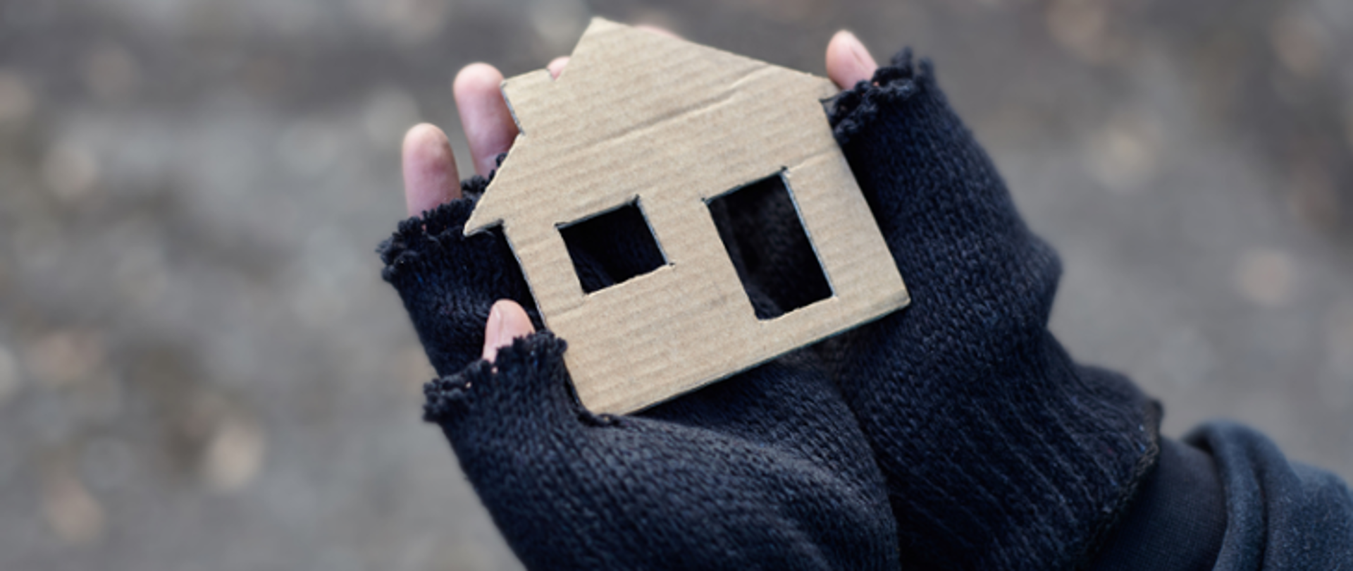 PLN 5.5 million for a programme to help the homeless