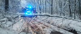 Foto przedstawia strażaków OSP Pinczyn podczas usuwania przewróconego na drogę i tarasującego przejazd drzewa.