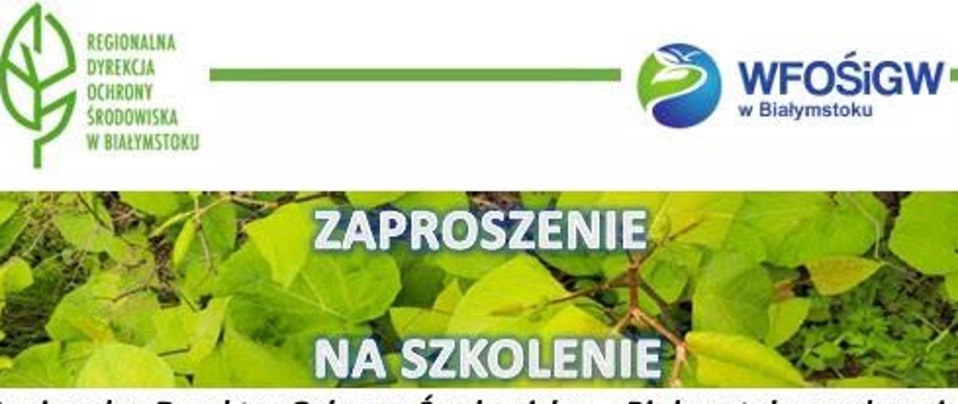 Bezpłatne szkolenie Inwazyjne Gatunki Obce roślin, co warto o nich wiedzieć