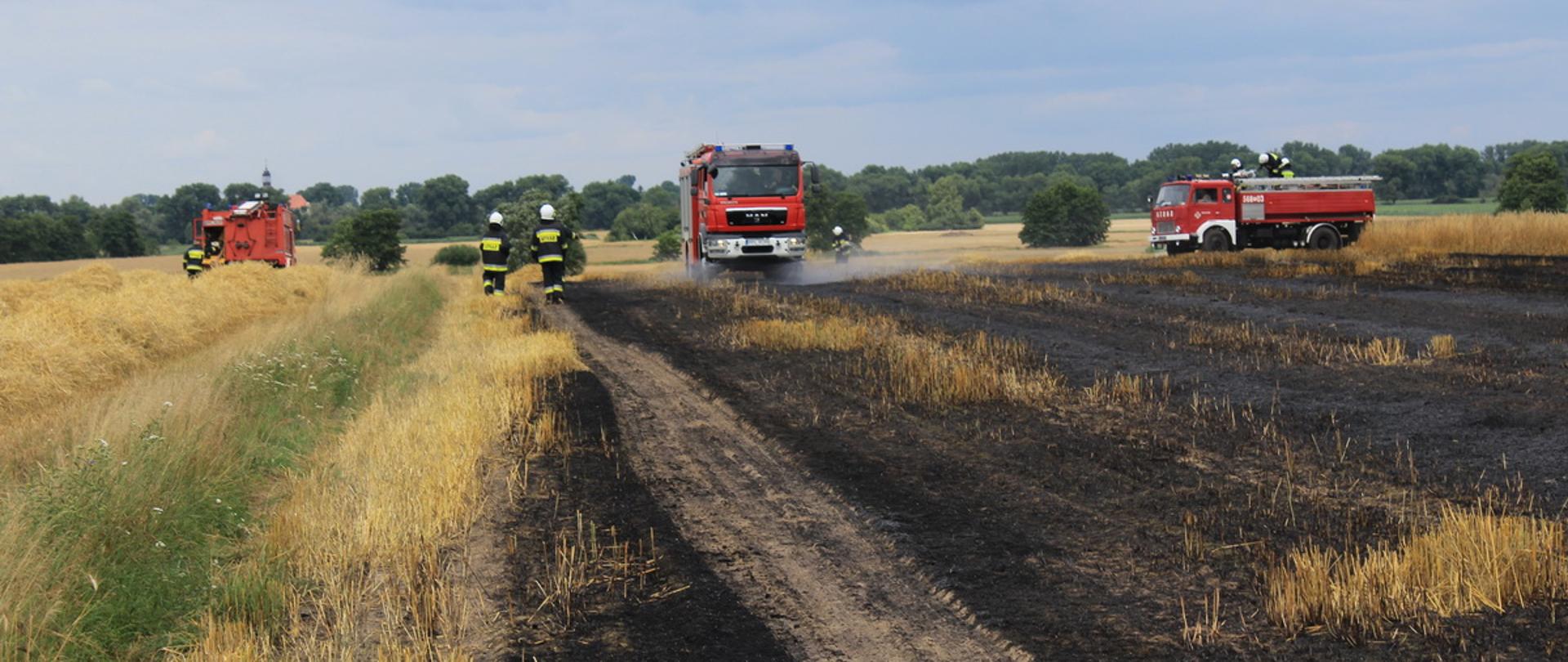 Rozpoczęły się żniwa - pierwszy pożar zboża w powiecie pleszewskim.