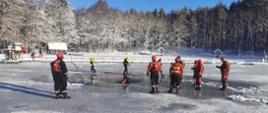 Dziesięciu strażaków ubranych w specjalistyczny sprzęt stoi na zamarzniętym jeziorze niedaleko są domku mieszkalne.