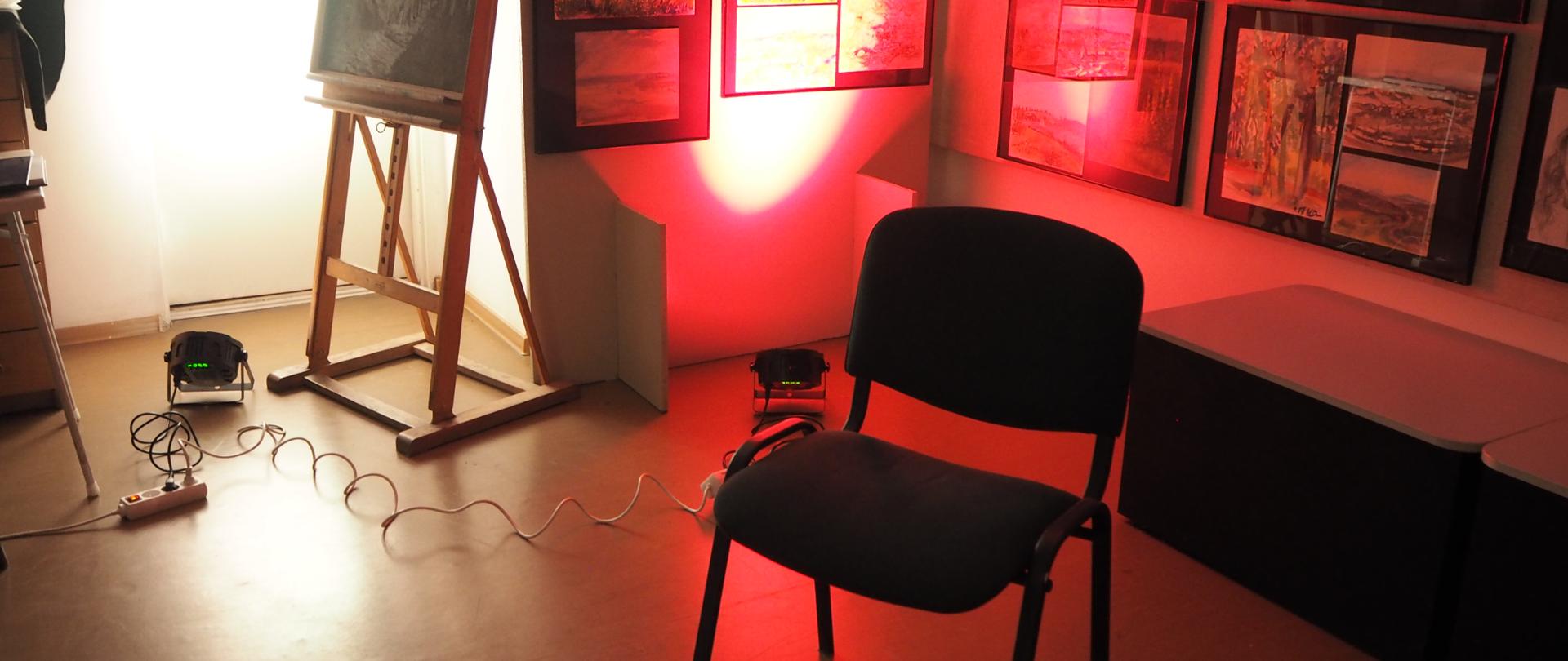 zdjęcie, foto. D. Sarzyńska-Kosieradzka